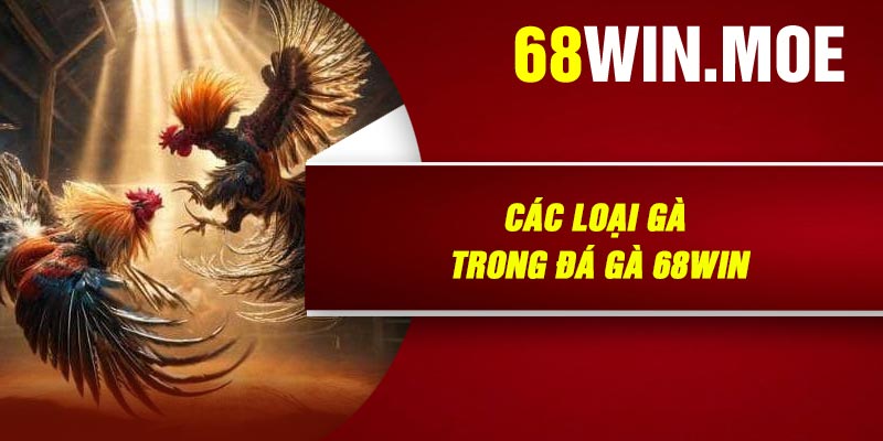 Các Loại Gà Trong Đá Gà 68Win