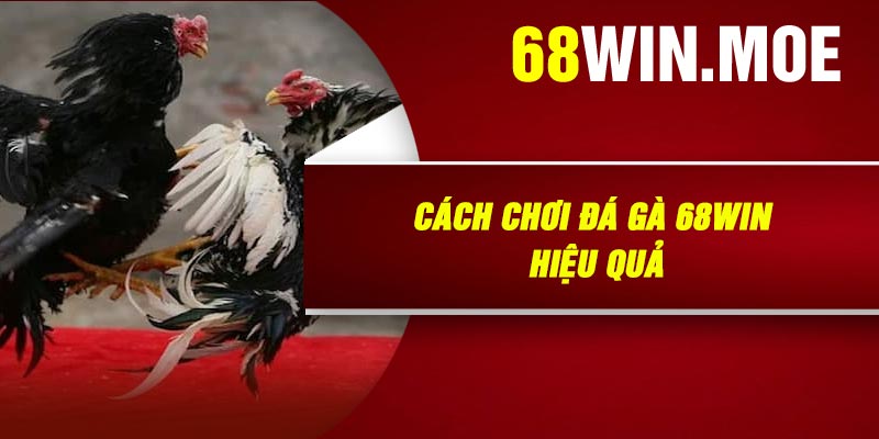 Cách Chơi Đá Gà 68Win Hiệu Quả